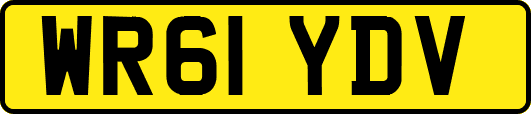 WR61YDV