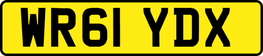 WR61YDX