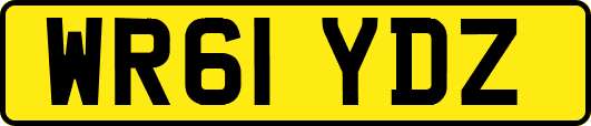 WR61YDZ