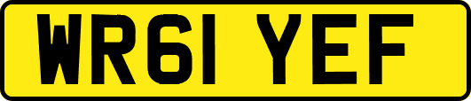 WR61YEF