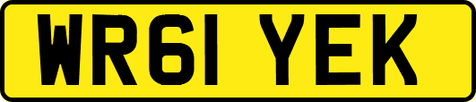 WR61YEK