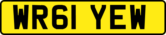 WR61YEW