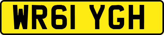 WR61YGH
