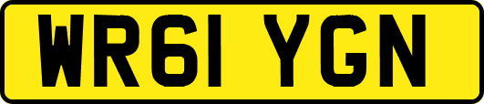 WR61YGN