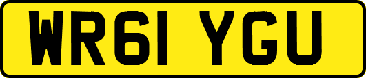 WR61YGU