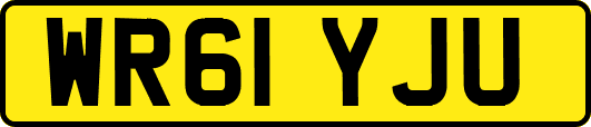 WR61YJU