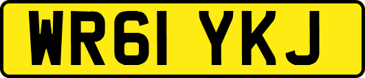 WR61YKJ