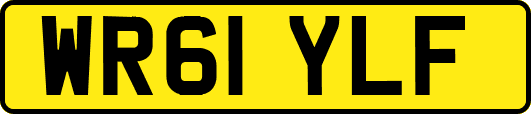 WR61YLF