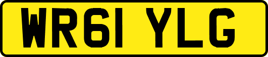 WR61YLG
