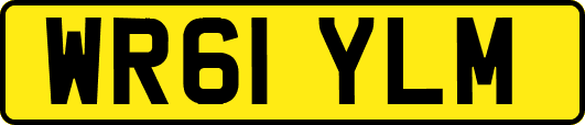 WR61YLM