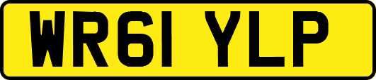 WR61YLP