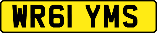 WR61YMS