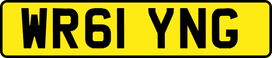 WR61YNG
