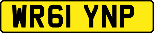 WR61YNP