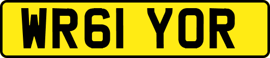 WR61YOR