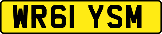 WR61YSM