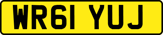 WR61YUJ