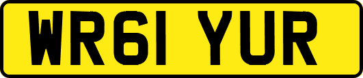 WR61YUR