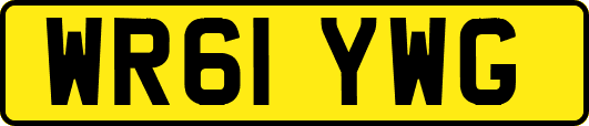 WR61YWG