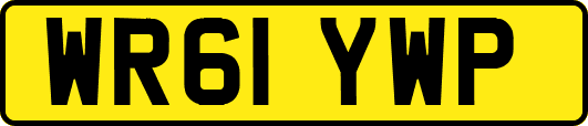 WR61YWP
