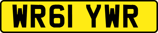 WR61YWR