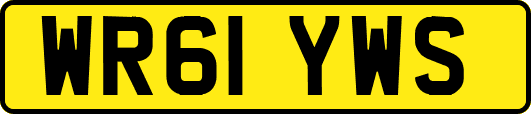WR61YWS