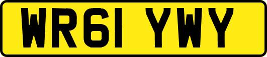 WR61YWY