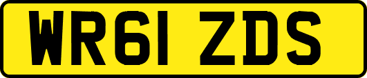 WR61ZDS