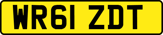 WR61ZDT