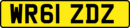 WR61ZDZ