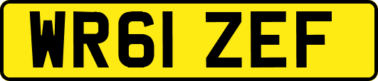 WR61ZEF