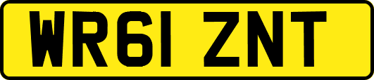 WR61ZNT