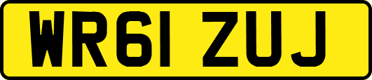 WR61ZUJ