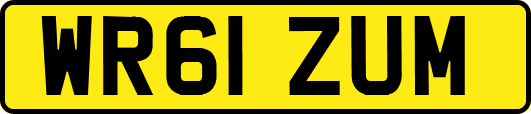 WR61ZUM