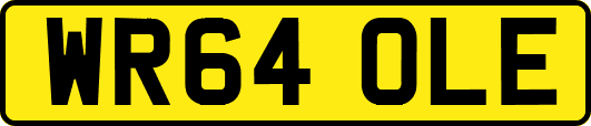 WR64OLE
