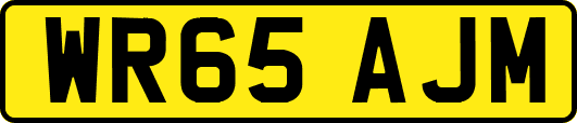 WR65AJM