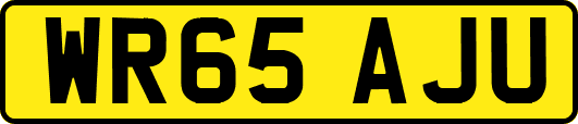 WR65AJU