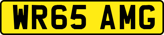 WR65AMG