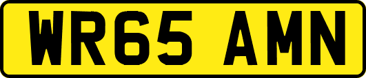 WR65AMN