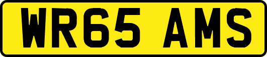 WR65AMS