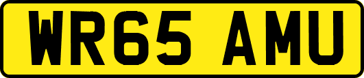 WR65AMU