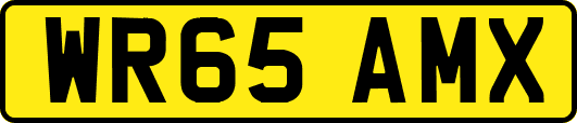WR65AMX