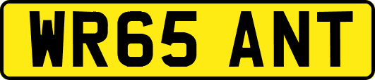 WR65ANT