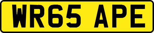 WR65APE