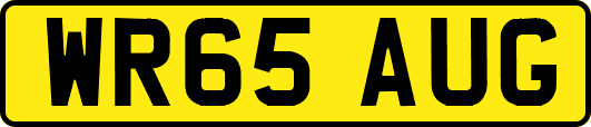 WR65AUG