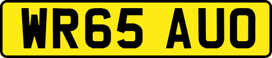 WR65AUO