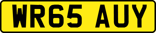 WR65AUY