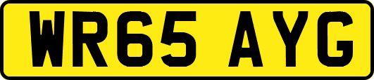 WR65AYG