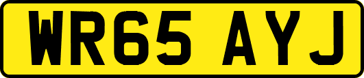 WR65AYJ