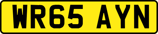 WR65AYN